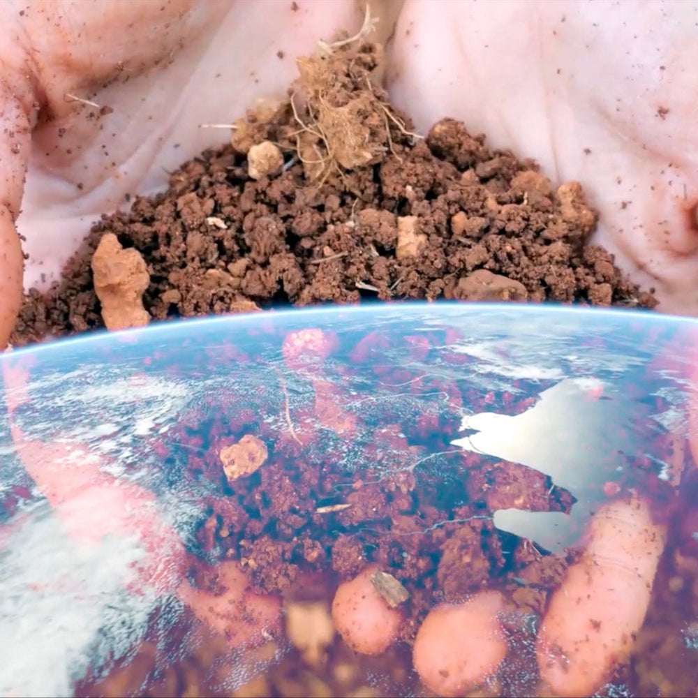 Close-up of hands holding soil with a world map in the background